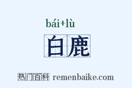 白鹿是什么意思的图片